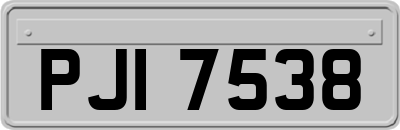 PJI7538