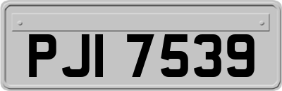 PJI7539