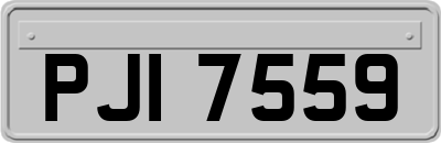 PJI7559