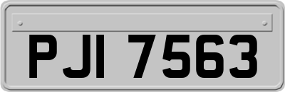 PJI7563