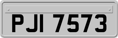 PJI7573