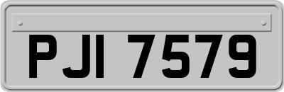 PJI7579