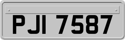 PJI7587