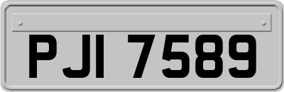 PJI7589