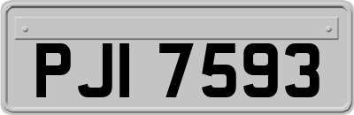 PJI7593
