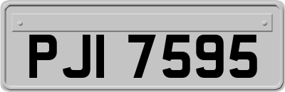 PJI7595