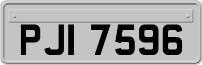 PJI7596