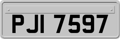PJI7597