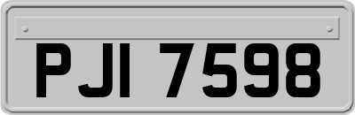PJI7598