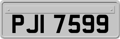 PJI7599