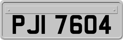 PJI7604