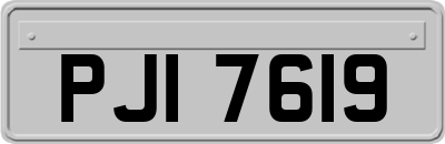 PJI7619