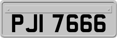 PJI7666