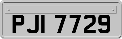 PJI7729