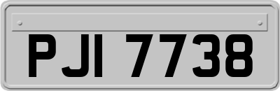 PJI7738