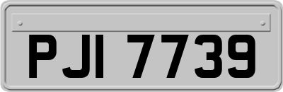 PJI7739