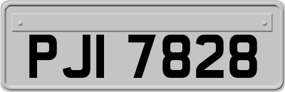 PJI7828