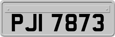 PJI7873
