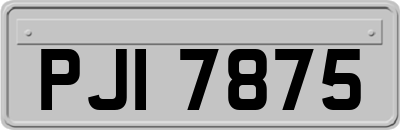 PJI7875