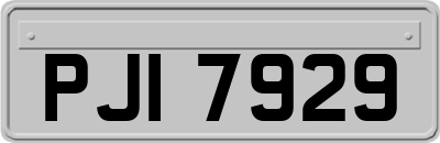 PJI7929