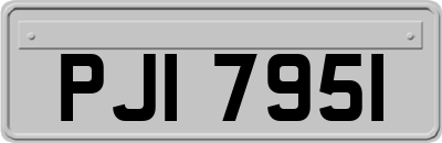 PJI7951