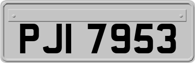 PJI7953