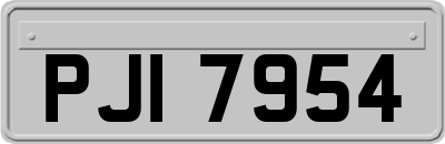 PJI7954
