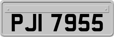 PJI7955