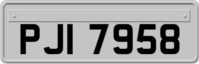 PJI7958