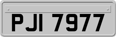 PJI7977