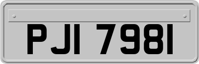 PJI7981