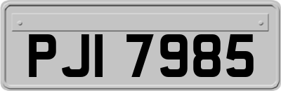 PJI7985