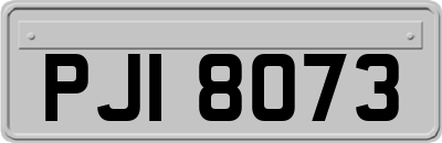 PJI8073