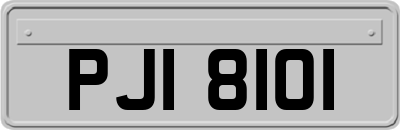 PJI8101