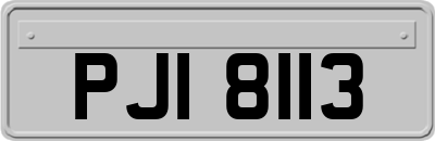 PJI8113
