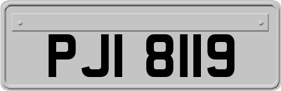 PJI8119