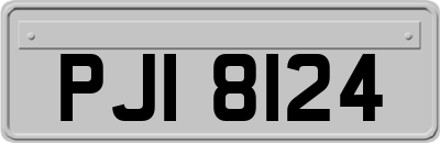 PJI8124