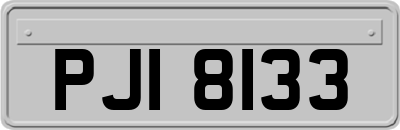 PJI8133