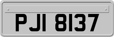 PJI8137