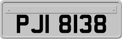 PJI8138