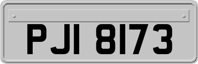 PJI8173