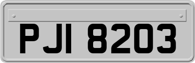 PJI8203