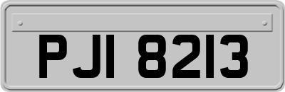 PJI8213