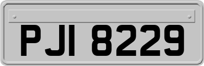PJI8229