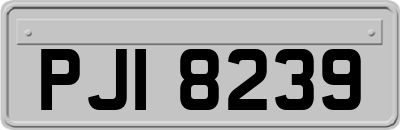 PJI8239