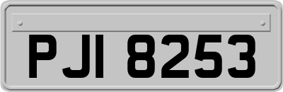 PJI8253