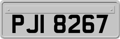 PJI8267