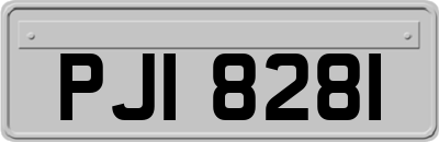 PJI8281
