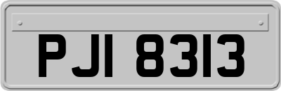 PJI8313