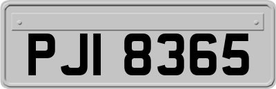 PJI8365